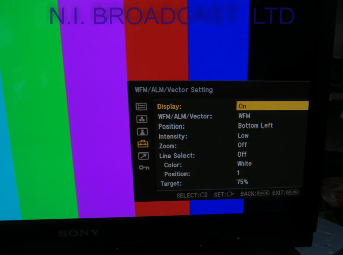 Sony pvm-a250 25inch OLED 3G / HD trimaster monitor - image #17