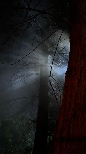 Yowler Raises Air Climber to Light Haunted Woods for Horror Short Halloween Campaign
