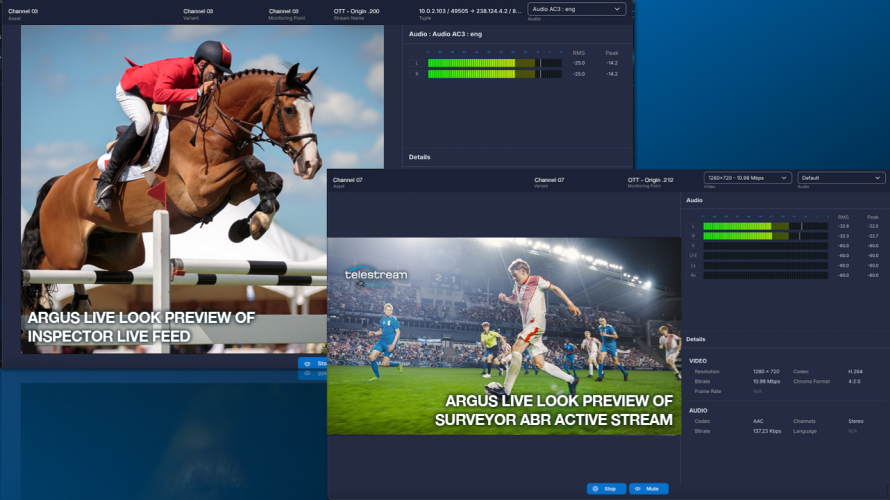 Telestream Introduces ARGUS v23 Featuring Live Look for Real-Time Stream Validation
