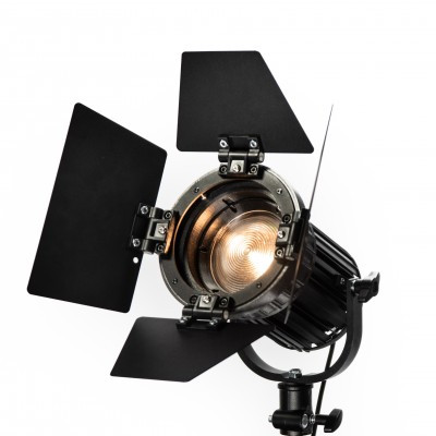 BB and amp;S Intros Compact Bicolor Fresnel (CFL) Light
